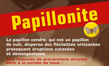 papillonite actu