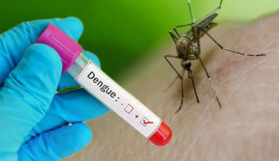 dengue visuel