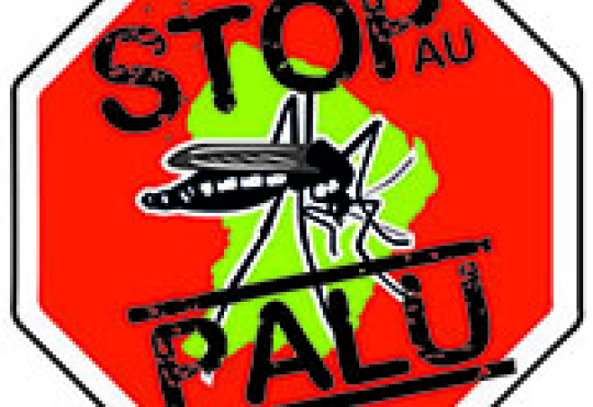 palu stop