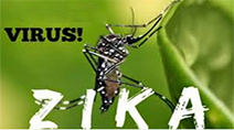 Zika