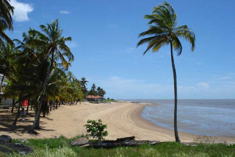 cayenne guyane plages