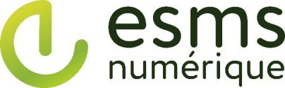 logo ESMS numérique