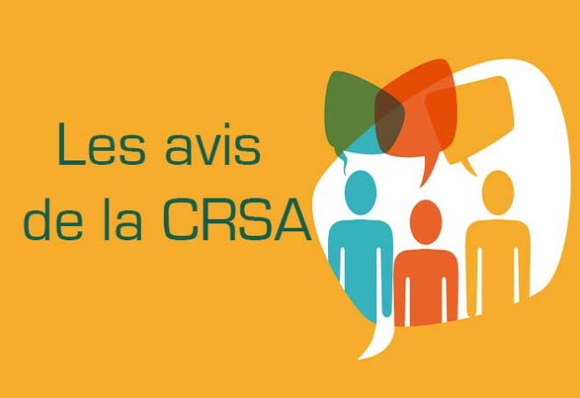 crsa guyane visuel avis