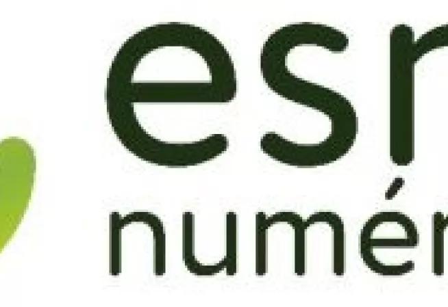 logo ESMS numérique