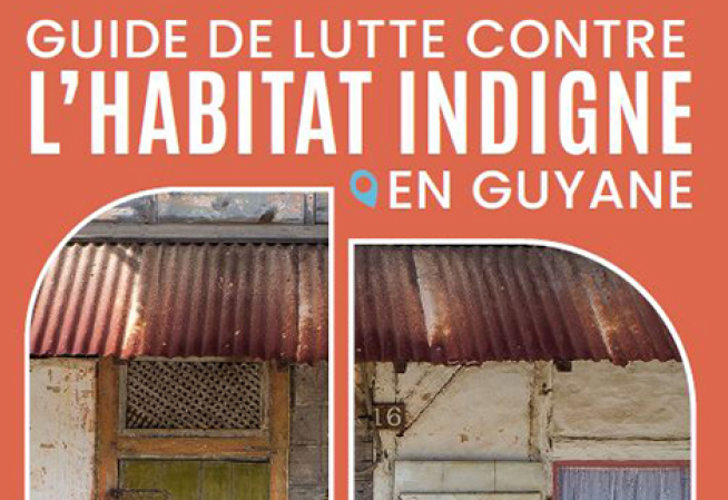 LHI guide guyane