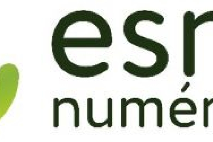 logo ESMS numérique