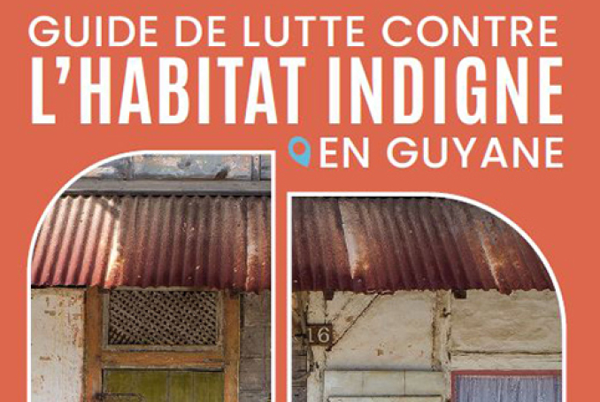 LHI guide guyane